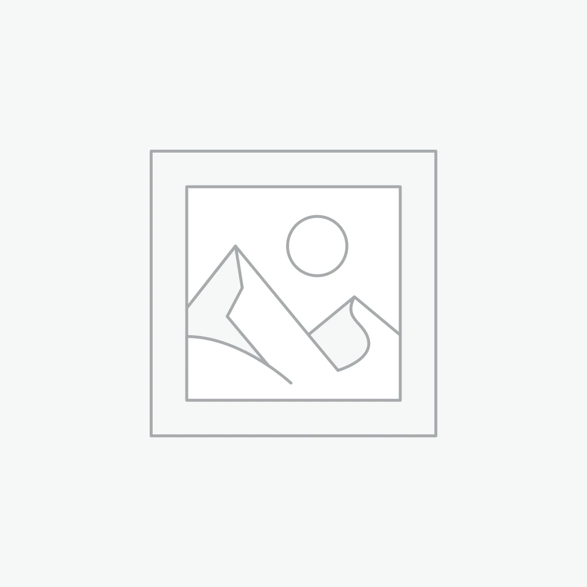 Eames plastic side chair